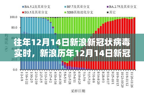 新浪历年12月14日新冠病毒实时动态概览及趋势分析