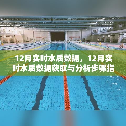 12月实时水质数据获取与分析全解析，从入门到进阶的实用指南