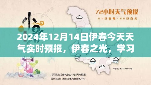 伊春今日天气实时播报，探索学习变化的力量与天气的美好预言