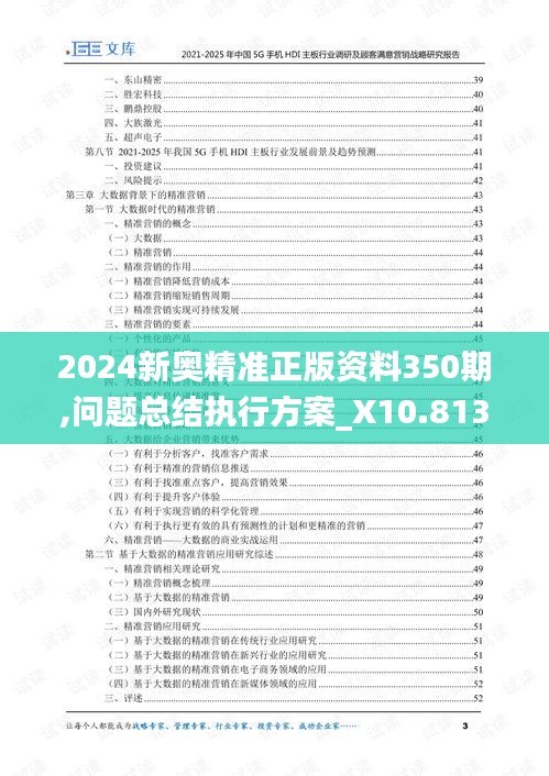 2024新奥精准正版资料350期,问题总结执行方案_X10.813