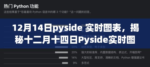 揭秘十二月十四日Pyside实时图表数据可视化，助力决策分析