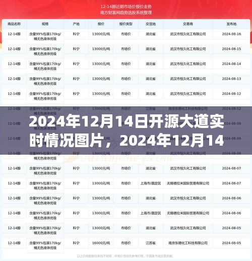 科技与生活的融合，2024年12月14日开源大道实时情况图片展示