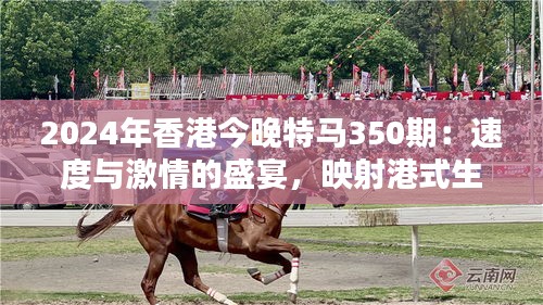 2024年香港今晚特马350期：速度与激情的盛宴，映射港式生活缩影