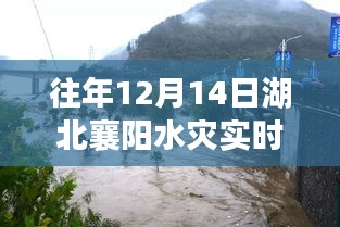 湖北襄阳水灾背后的美景之旅，与自然共舞，探寻内心宁静的奇迹时刻