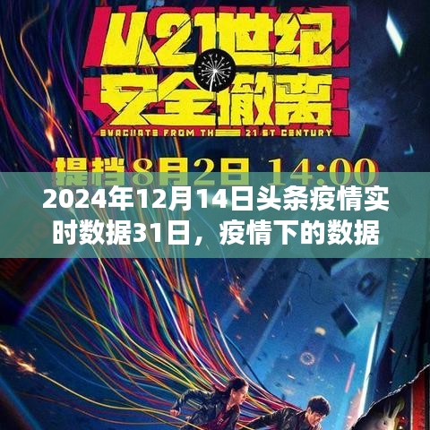 疫情下的数据印记，聚焦2024年12月疫情实时数据及其深远影响