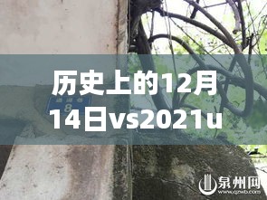 历史与未来交汇，探秘小巷深处的特色小店与实时仿真UDP技术的跨越式发展历程（12月14日）