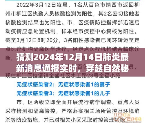 未来肺炎最新消息预测与心灵穿越之旅，自然秘境中的期待与展望