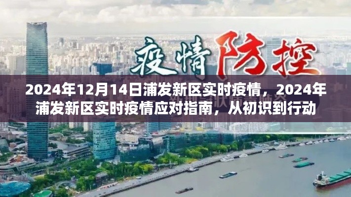 2024年浦发新区实时疫情应对指南，从初识到行动