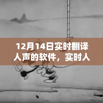 12月14日实时翻译人声软件革新与体验