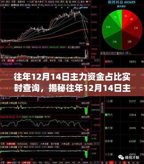 揭秘往年12月14日主力资金占比实时查询，股市资金流向深度解析