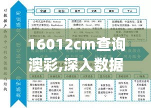 16012cm查询澳彩,深入数据执行计划_PalmOS2.100