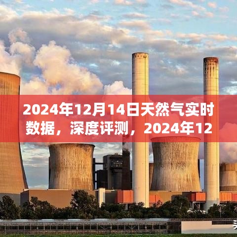 深度评测，2024年12月14日天然气实时数据解析与用户体验分析