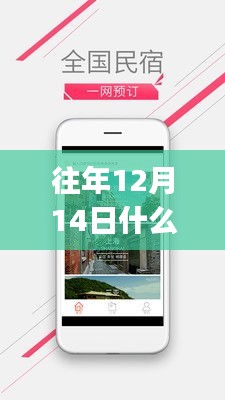 『实时定位公交APP推荐，启程寻找内心的宁静圣地与自然美景之旅』