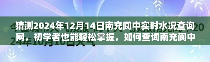 初学者也能轻松掌握，南充阆中实时水况查询网操作指南——2024年12月14日南充阆中水况查询指南