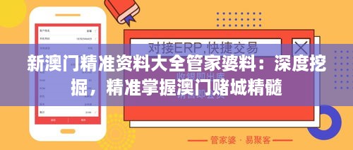 新澳门精准资料大全管家婆料：深度挖掘，精准掌握澳门赌城精髓