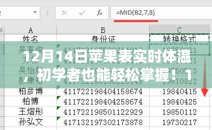 飞鸟惊蛇