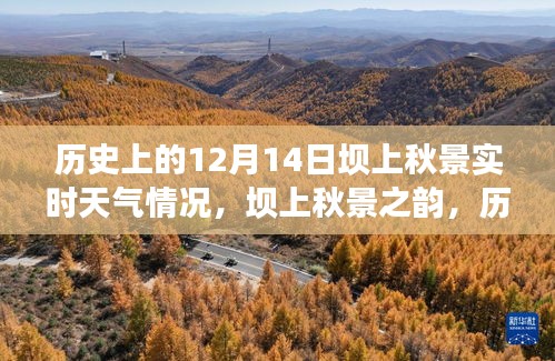 历史上的12月14日坝上秋景实时天气解析与深度阐述，秋韵与天气的交融纪事