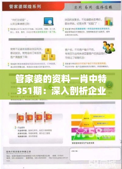 管家婆的资料一肖中特351期：深入剖析企业管理智慧