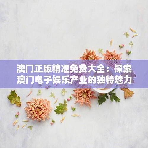 澳门正版精准免费大全：探索澳门电子娱乐产业的独特魅力