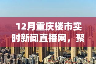 重庆楼市深度解析，十二月实时新闻直播网聚焦楼市动态