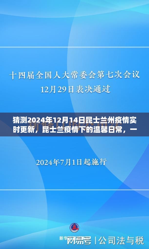 昆士兰疫情下的温馨日常与友情陪伴，2024年12月14日实时更新预测故事