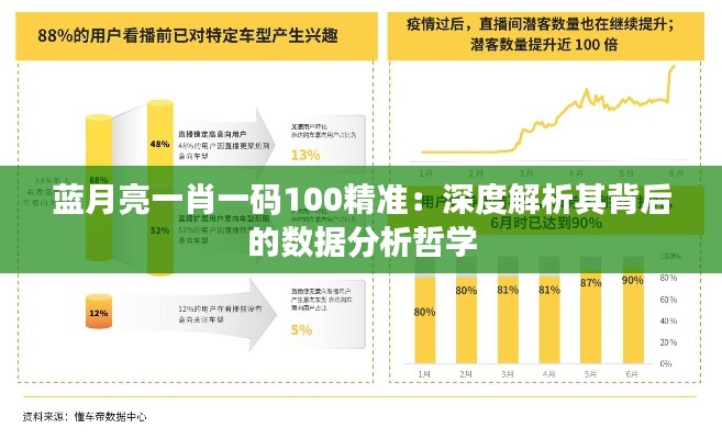 蓝月亮一肖一码100精准：深度解析其背后的数据分析哲学