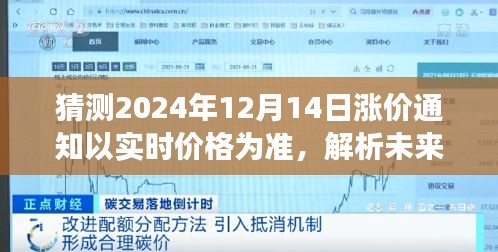 关于预测2024年12月14日涨价现象的视角与观点，实时价格调整及未来趋势解析