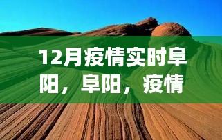 阜阳疫情下的绿色心灵之旅，探寻自然秘境的宁静之力