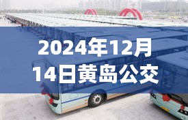 黄岛公交新纪元，追寻自然美景的实时监控系统奇妙之旅（2024年12月14日启程）