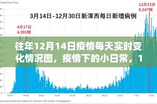 2024年12月16日 第3页