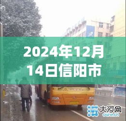 2024年12月14日信阳市区实时路况直播，交通洞察与出行指南