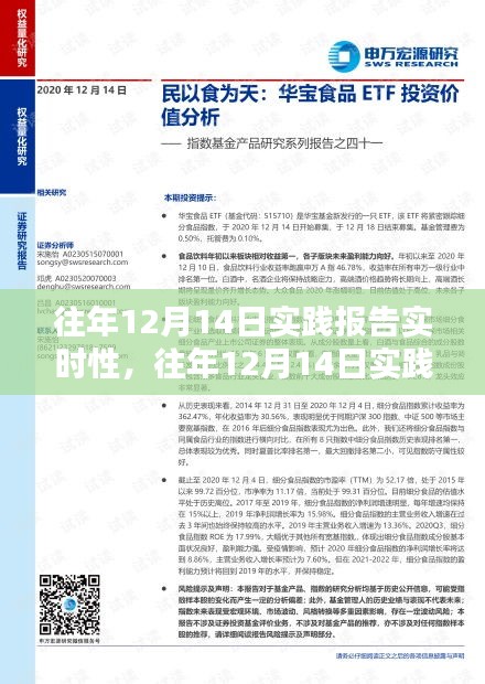 往年12月14日实践报告实时性完成指南与步骤解析