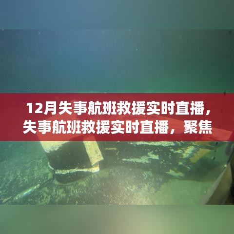 聚焦关键环节与决策过程，失事航班救援行动实时直播报道