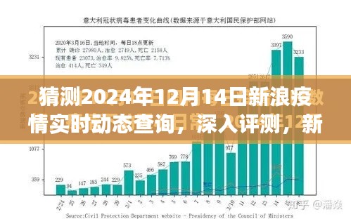 新浪疫情实时动态查询系统，2024年展望与深入评测