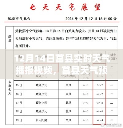 莒县天气预报视频，12月14日实时天气播报详解