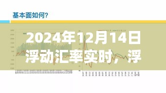 浮动汇率时代风云变幻，聚焦2024年12月14日汇率波动纪实