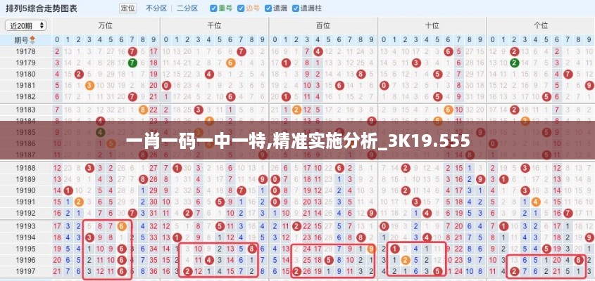 一肖一码一中一特,精准实施分析_3K19.555