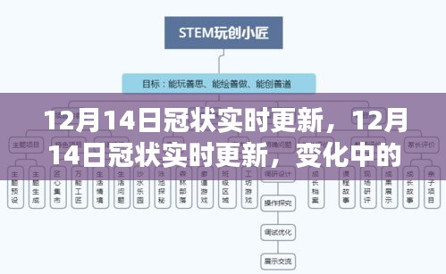 12月14日冠状病毒实时更新，变化中的学习之路与自信成就感的绽放