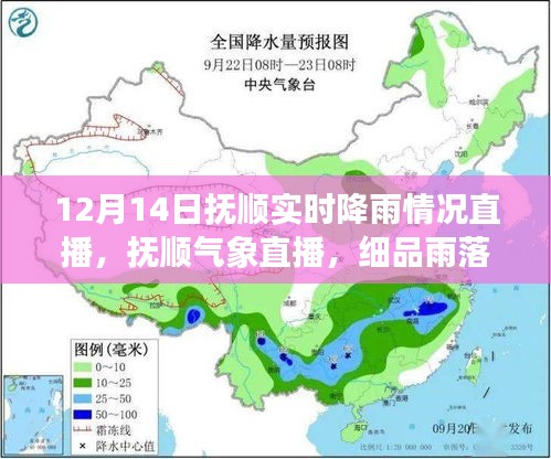 12月14日抚顺降雨实况直播，雨落之声与冬日景色的交织