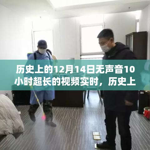 历史上的无声时刻，揭秘12月14日超长实时视频探索的全面评测与介绍