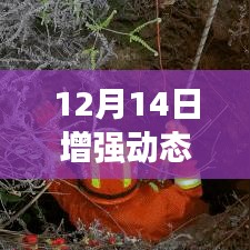 揭秘，全新升级的动态效果实时模糊技术揭秘（12月14日更新）