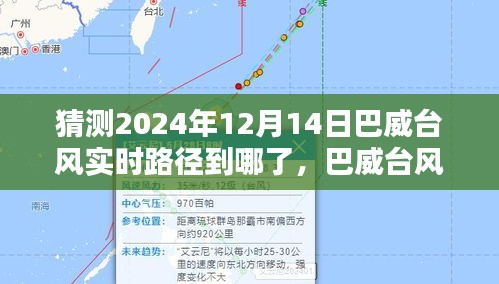 2024年12月17日 第14页