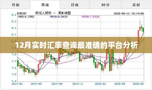 12月实时汇率查询平台精准度对比分析