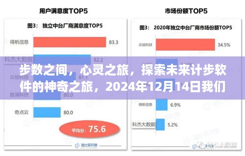 2024年12月 第455页