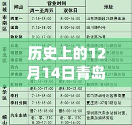 青岛海鲜价格实时查询网站的发展与变迁，历史视角下的12月14日变迁纪实