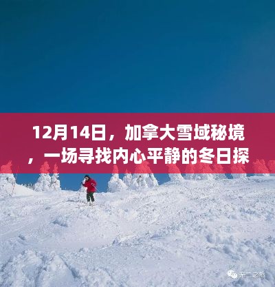 加拿大雪域秘境探险，寻找内心平静的冬日之旅