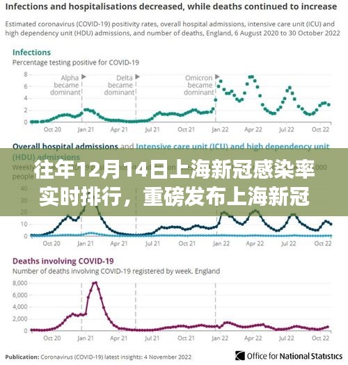 重磅发布，上海新冠感染率实时排行神器，科技领航守护健康新时代！