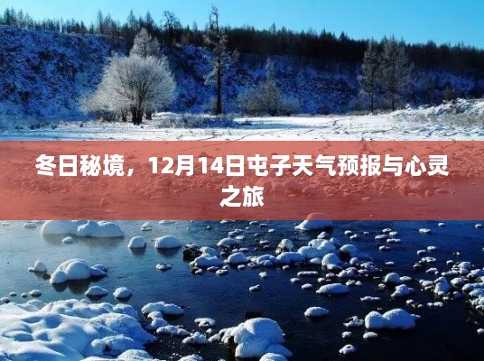 冬日秘境探索，屯子天气预报与心灵之旅开启（12月14日）