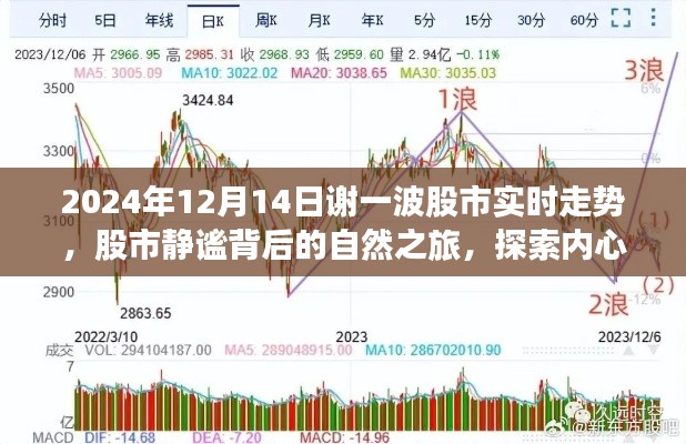 探索内心平静，谢一波股市实时走势背后的静谧之旅