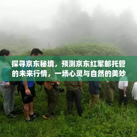 探访京东秘境，揭秘红军邮托管未来行情，心灵与自然的交融之旅